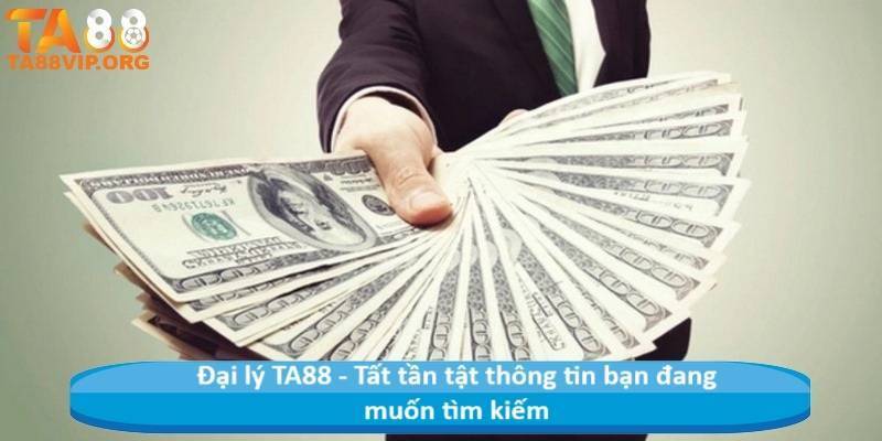 Đại lý 8LIVE - Tất tần tật thông tin bạn đang muốn tìm kiếm